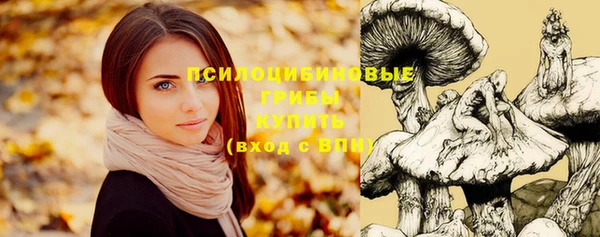 дурь Алексин
