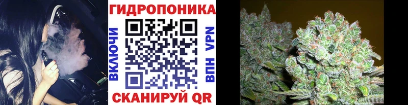 Бошки Шишки гибрид  продажа наркотиков  Ливны 